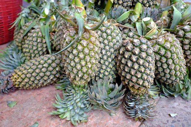 Photo high angle view of fruits hanging on plant