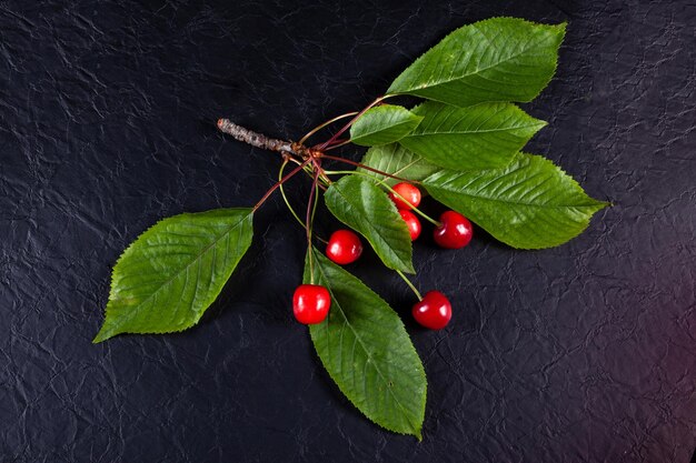 Foto vista ad alto angolo di frutta e foglie su tavola