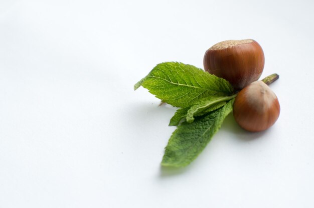 Foto vista ad alto angolo di frutti e foglie su sfondo bianco