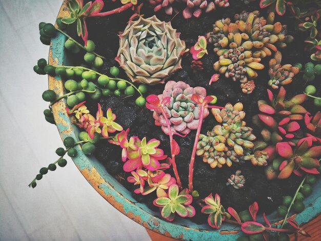 High angle view of fruits in plate on table