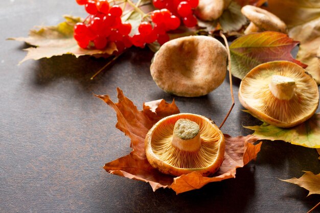 High angle view of fruits on table