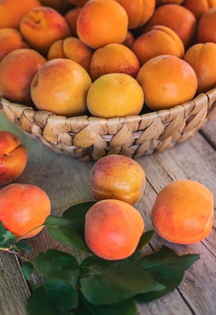 High angle view of fruits on table