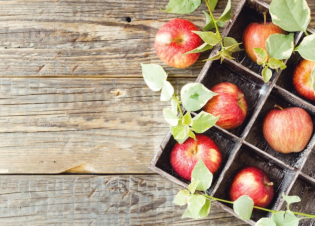 Foto vista ad alta angolazione delle frutta sulla tavola