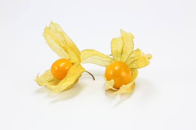 High angle view of fruits on white background