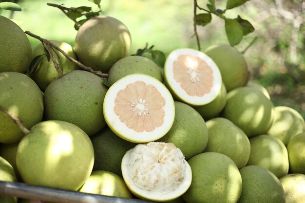 High angle view of fruits