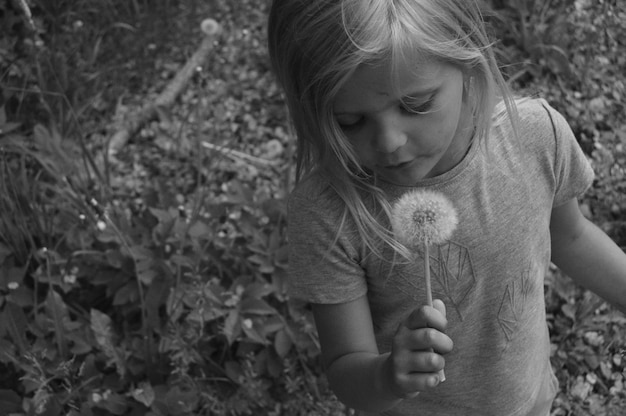 Photo high angle view of girl holding dandelion seed while standing on field