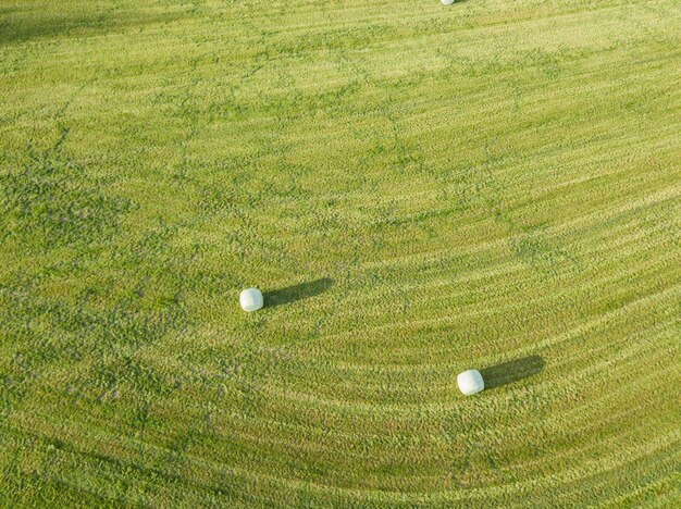 High angle view of golf ball