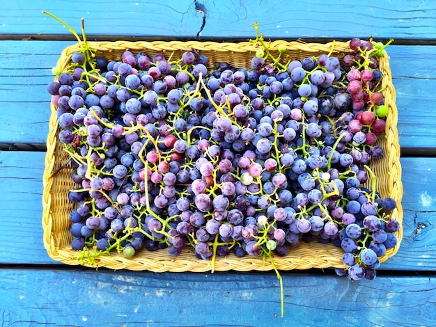 Foto vista ad alto angolo delle uve in un cesto di vimini