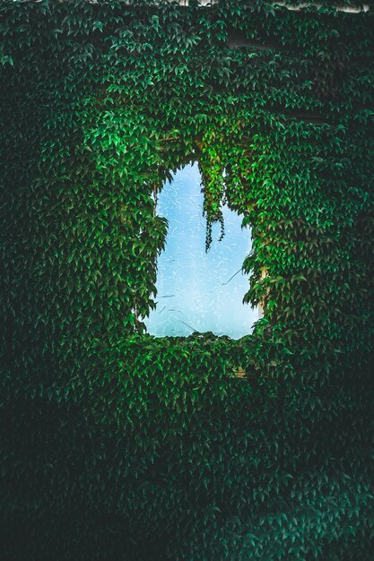 High angle view of grass floating on lake