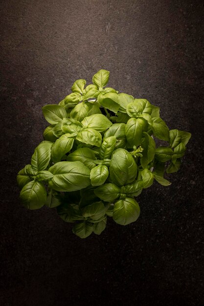 Photo high angle view of green chili pepper on black background