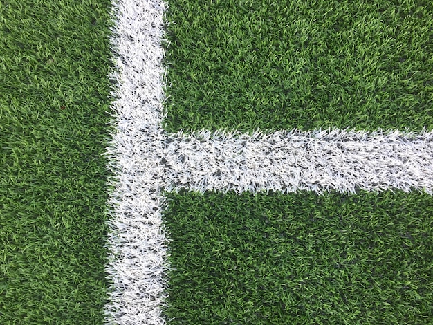 High angle view of green field