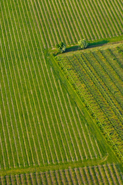 Photo high angle view of green field