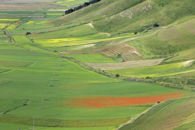 High angle view of green field