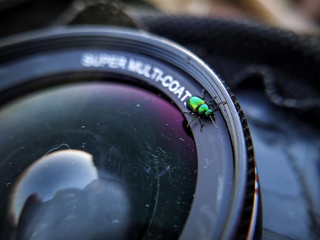 Photo high angle view of green insect on lens