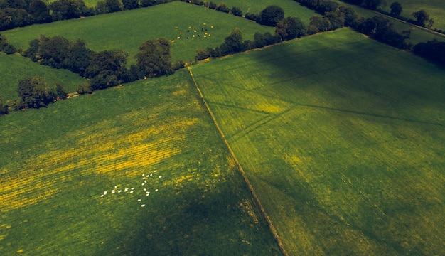 Photo high angle view of green landscape