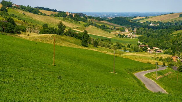 Foto vista ad alto angolo del paesaggio verde