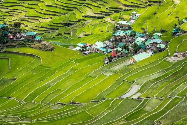 High angle view of green landscape