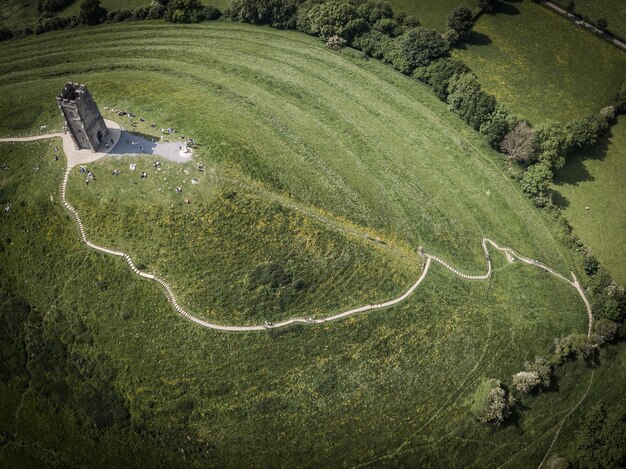 high angle view of green landscape