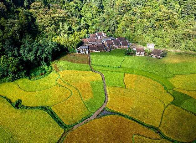 Photo high angle view of green landscape