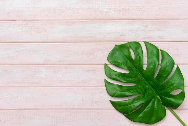high angle view of green leaves on table