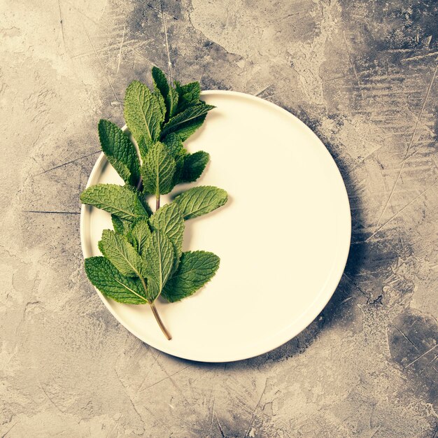 Photo high angle view of green leaves on table