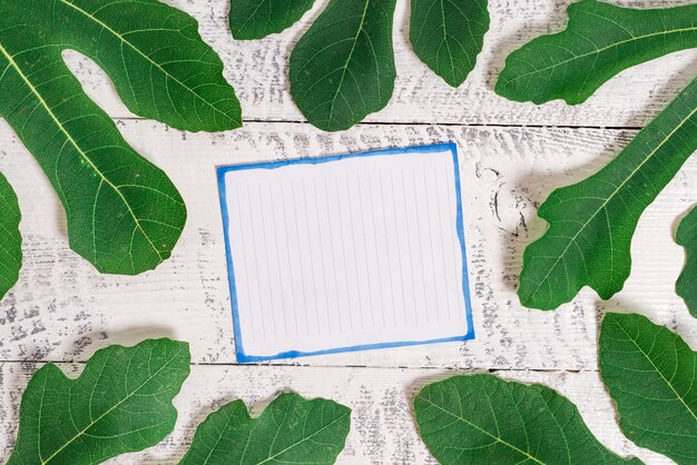 Photo high angle view of green leaves on table