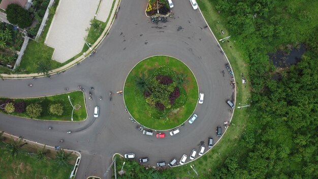 Foto vista ad alta angolazione delle piante verdi sul campo