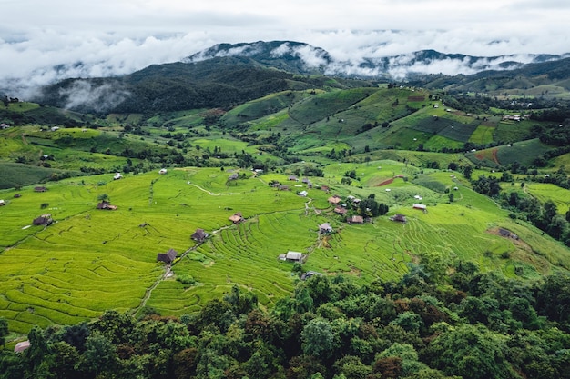 High angle view Green Rice field on terraced in Chiangmai