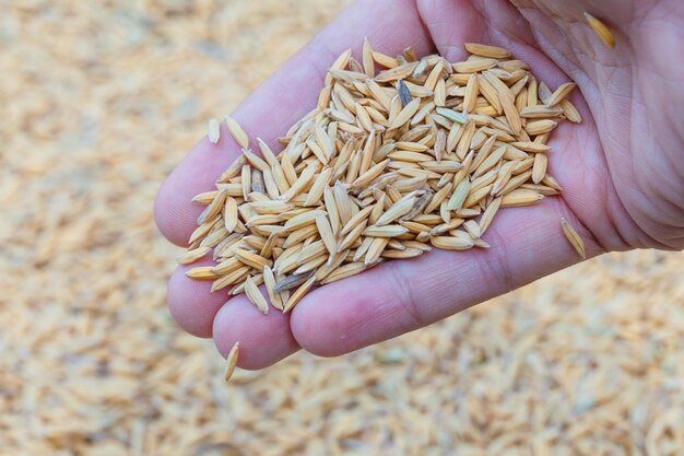 High angle view of hand holding bread