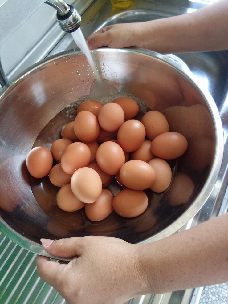 Photo high angle view of hand holding eggs in container