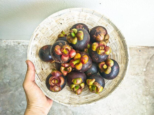 High angle view of hand holding fruits