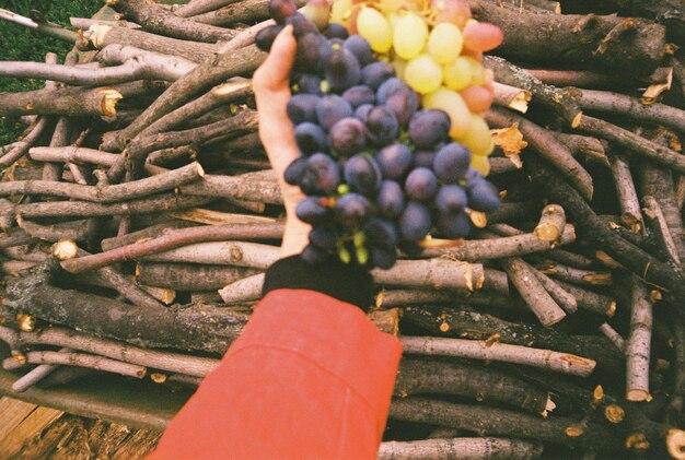 Foto vista ad alto angolo di frutta tenuta in mano