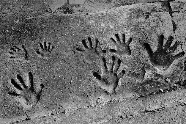 Foto vista ad alto angolo dell'impronta della mano