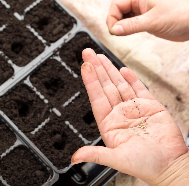 high angle view of hands touching leaf