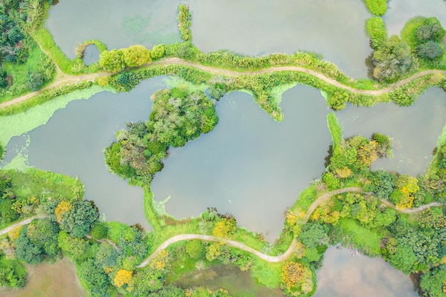high angle view of heart shape against trees