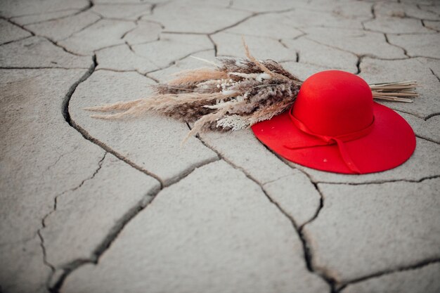 Foto vista ad alto angolo della forma di cuore sulla corda