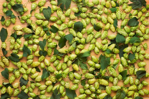 High angle view of hops on table