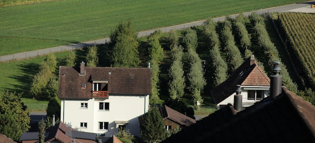 High angle view of houses amidst trees and buildings