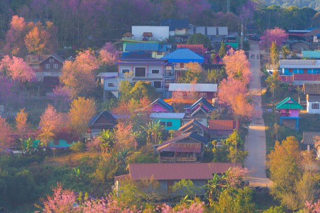 Photo high angle view of houses in town