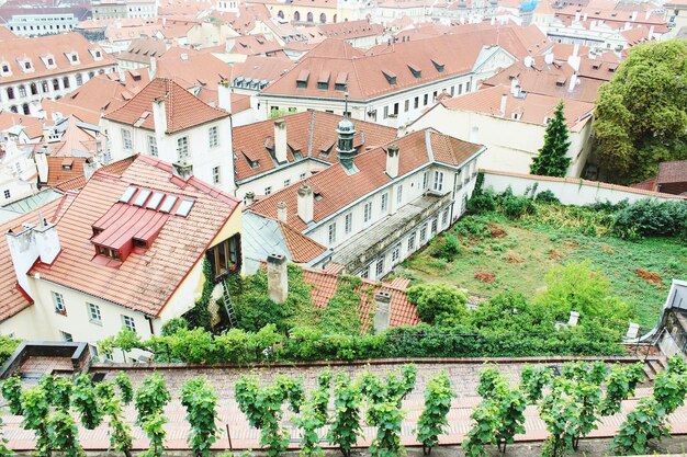 Photo high angle view of houses and trees against sky