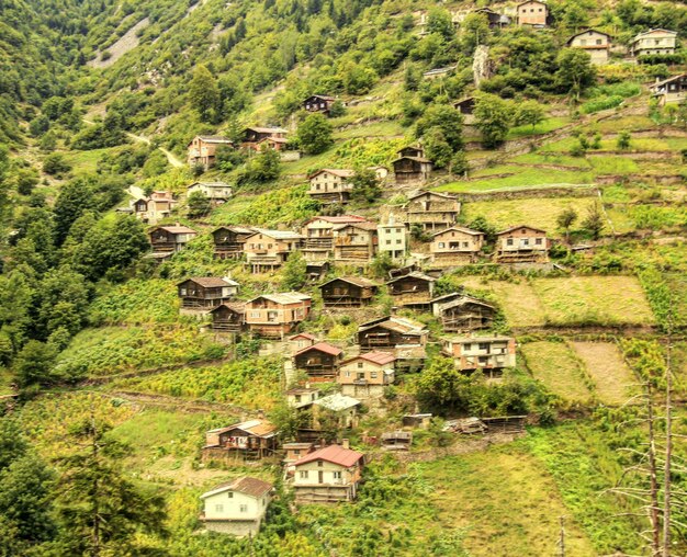 High angle view of houses in village