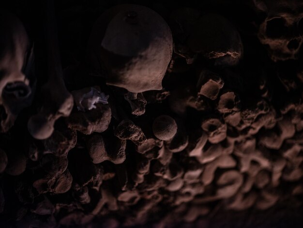 Photo high angle view of human bones in catacomb