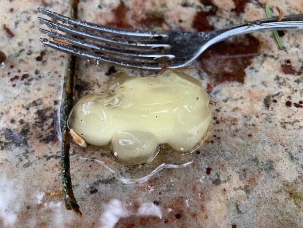 High angle view of ice cream in container