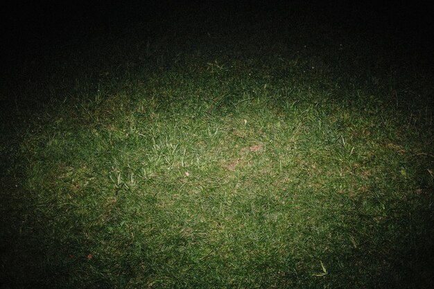 Photo high angle view of illuminated grass at night