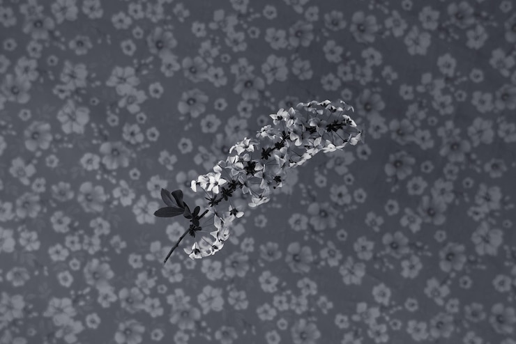 Photo 白い花の上の昆虫の高角度の写真