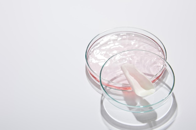 High angle view of laboratory glassware with liquid and rose petal on grey background