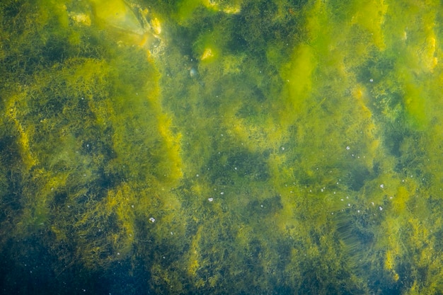 high angle view of lake