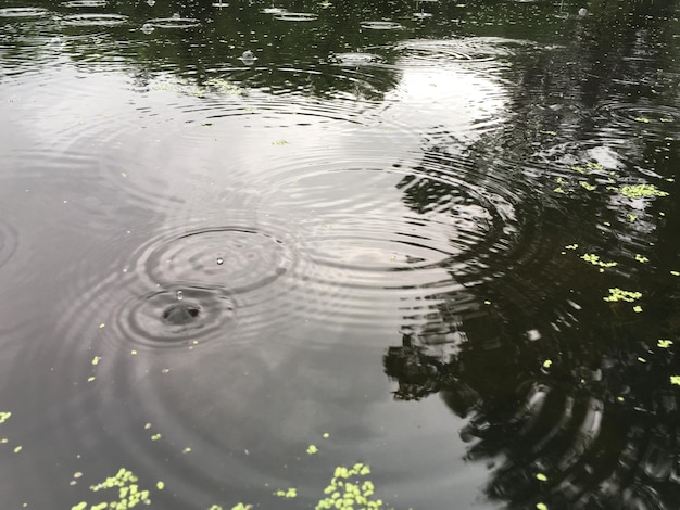 湖の高角度の景色