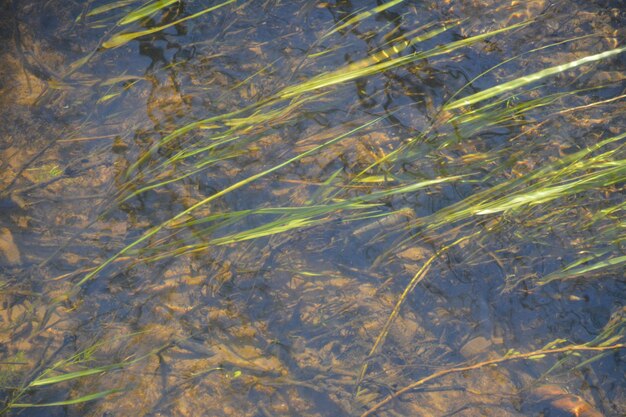 High angle view of a lake