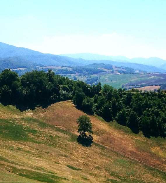 Foto vista ad alto angolo del paesaggio